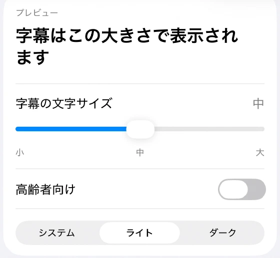 表示設定の字幕の文字サイズ、高齢者向けスイッチ、テーマの切り替え